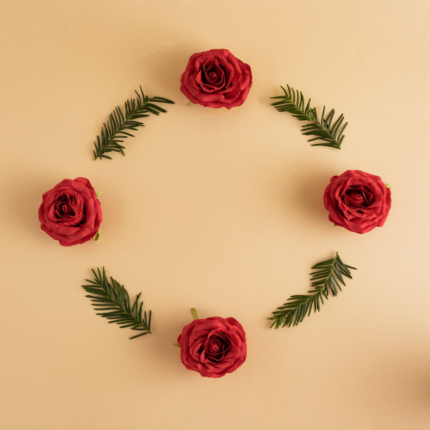 淡黄色背景上的红色玫瑰和圣诞树树枝。平铺，俯视图，拷贝空间图片下载