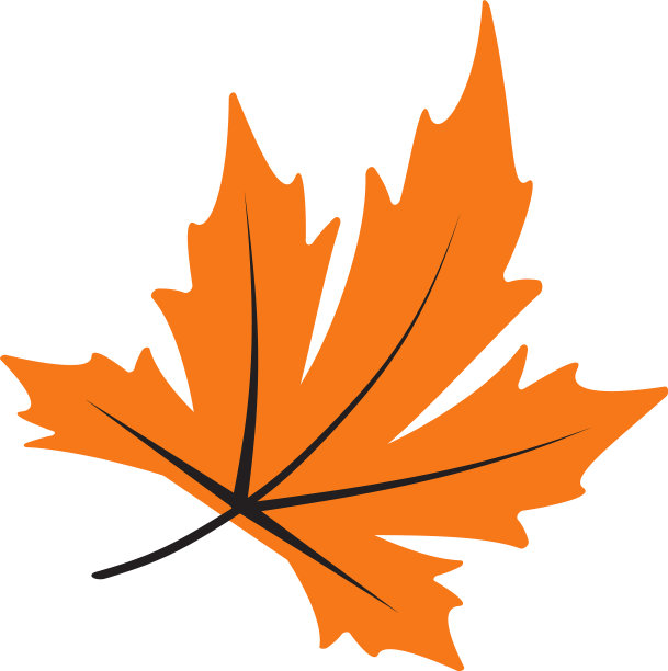 落叶图标设计模板孤立图片下载