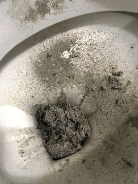 灰尘倒入马桶图片下载