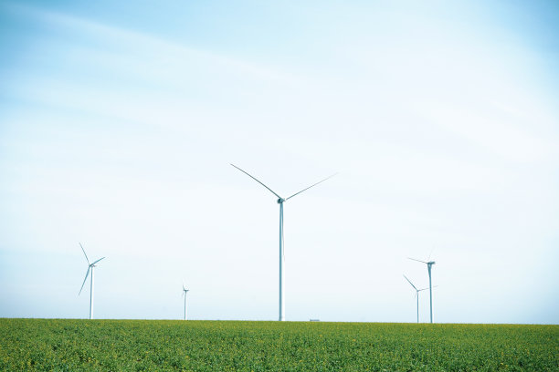 绿色草地上的风力涡轮机。美丽的春天绿色植物图片下载