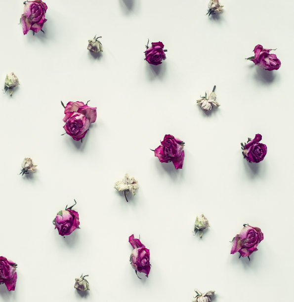 玫瑰图案图片下载