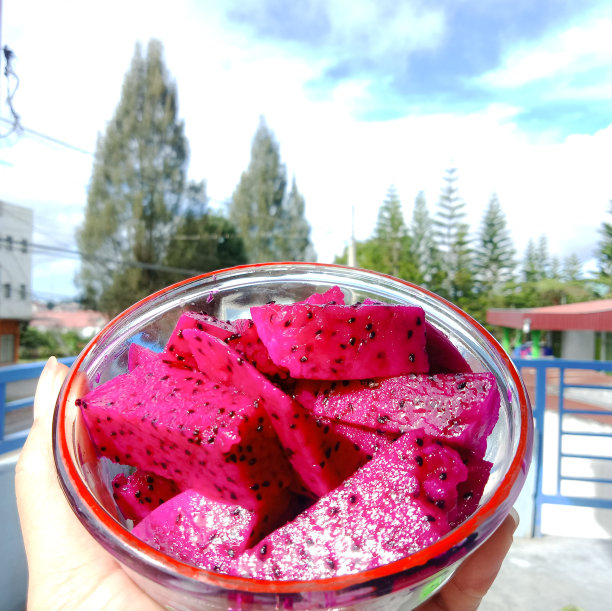 火龙果图片下载