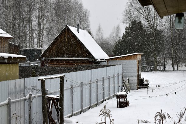 村子里飘着雪花图片下载