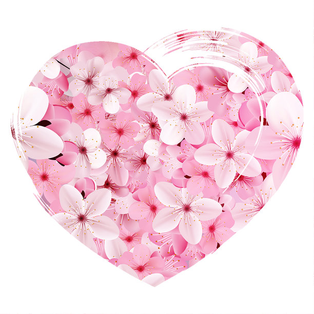 情人节送樱花。光栅图片下载