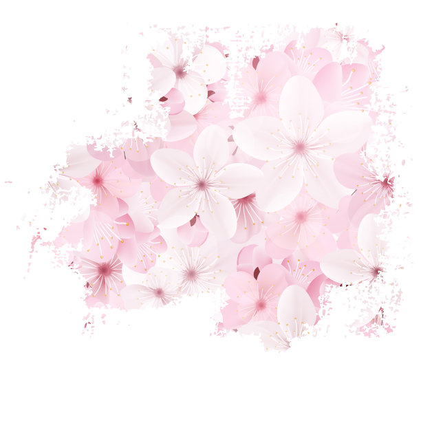 情人节送樱花。光栅图片下载