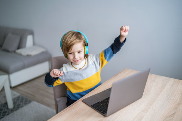 小男孩在家里用笔记本电脑图片下载