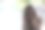 女摄影师用数码相机在其他工作室拍照。图片下载