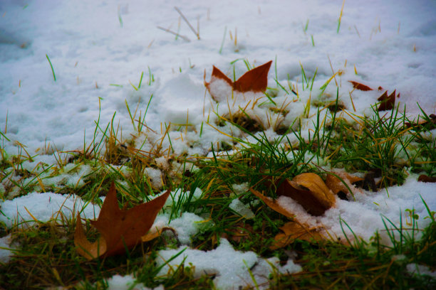 我的城市又被大雪覆盖了，所以我决定借此机会拍几张照片。图片下载