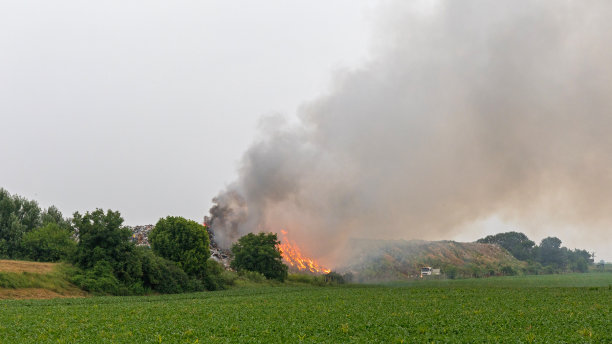 垃圾火图片下载