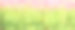 关闭鲜花自然背景。图片下载