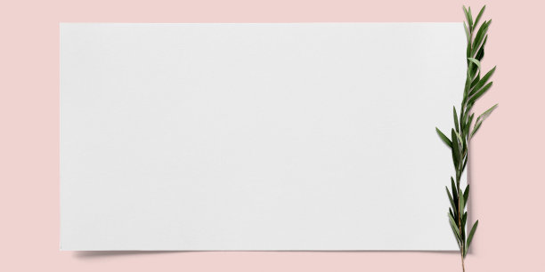 白色的纸与绿色的叶子在粉红色的纸背景与复制空间3D插图图片下载