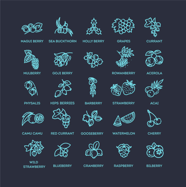 浆果图标设置图片下载