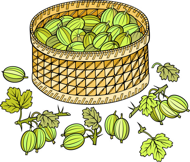卡通篮子里的醋栗图片下载