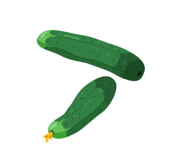 两根带花的绿色黄瓜，颜色鲜艳图片下载