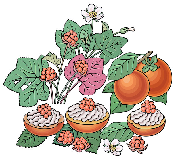 糖果，浆果，水果手绘图片下载