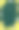 水彩画风格的柠檬和香草婚礼请柬，绿色背景上的金色框架。模板祝贺，卡片，海报与地方的文字。图片下载