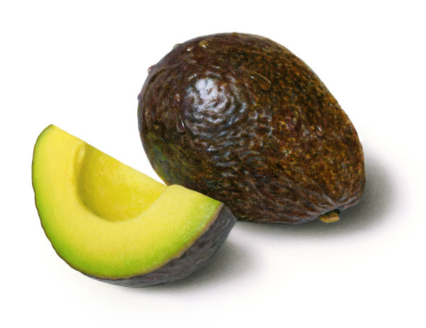 鳄梨和楔图片下载