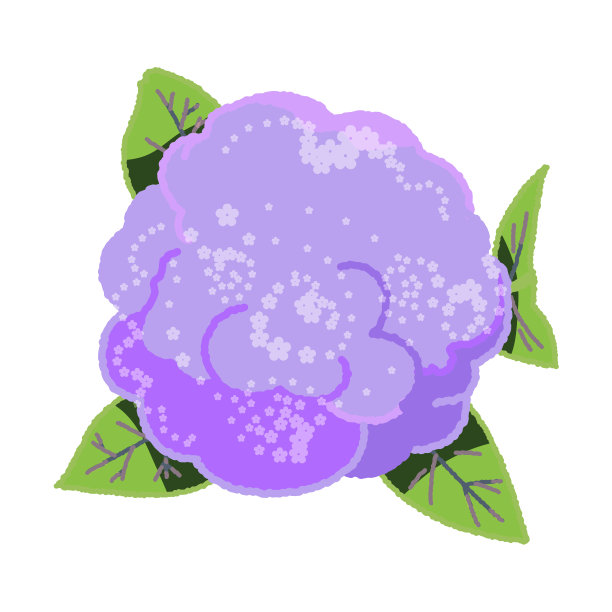 从上面直接看到的一个厚厚的花椰菜的插图图片下载