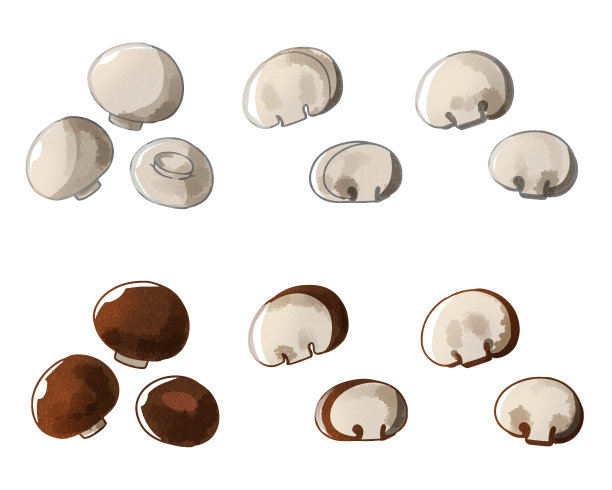 蘑菇水彩风格图片下载