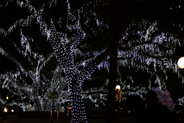 假日点燃的树图片下载