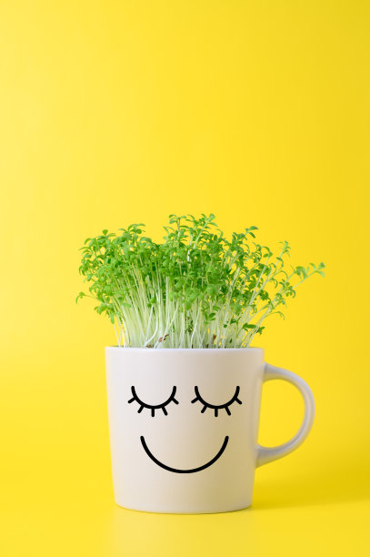 灰色杯子，滑稽的脸，在黄色的背景上生长豆瓣菜图片下载