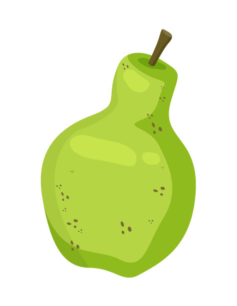 在白色背景上孤立的绿色梨果实图片下载