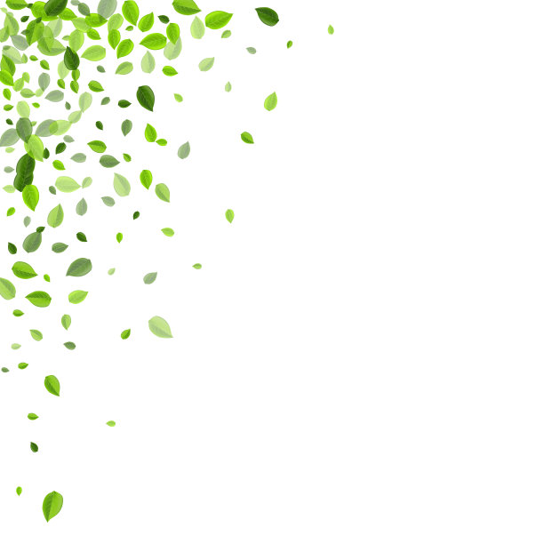 森林绿叶自然旗帜飞绿色图片下载