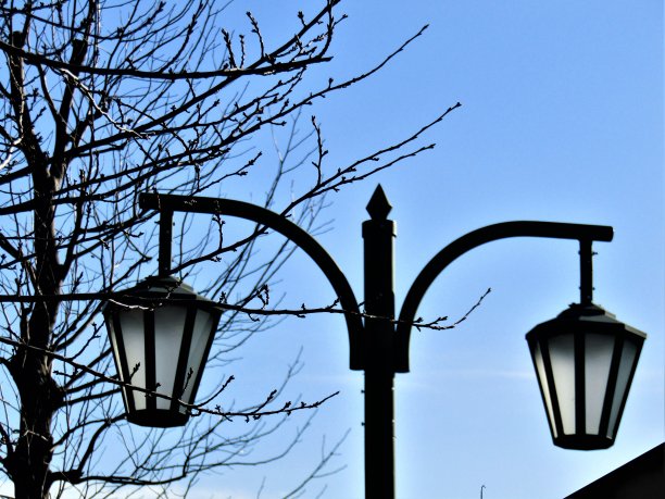 日本。1月。路灯。图片下载