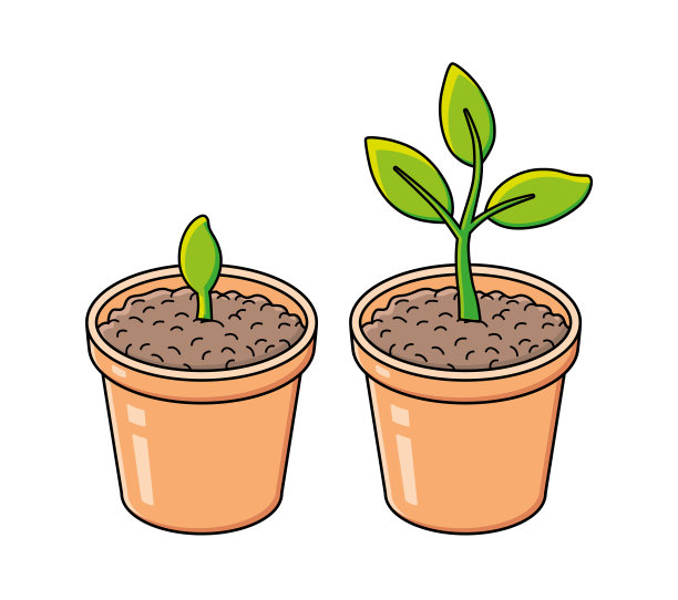 花盆，有芽和绿色植物图片下载