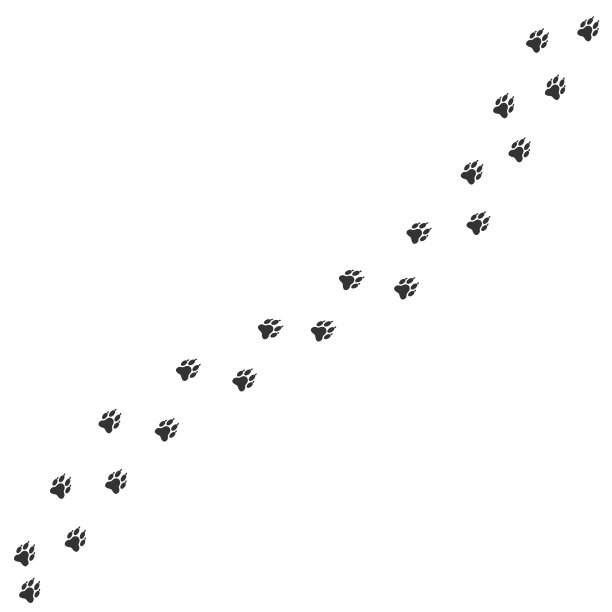 狼的足迹图片下载