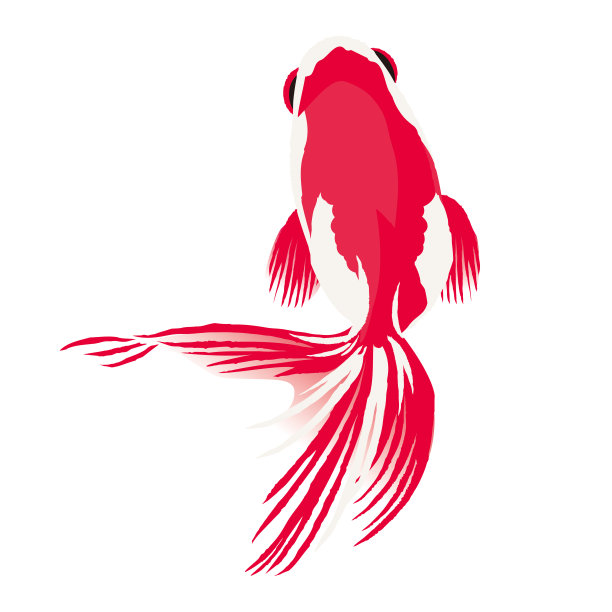 金鱼矢量图图片下载