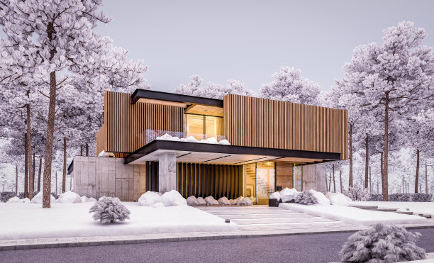 现代住宅的3d渲染与木板立面在冬天的晚上图片下载