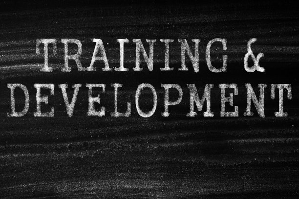 培训与发展图片下载