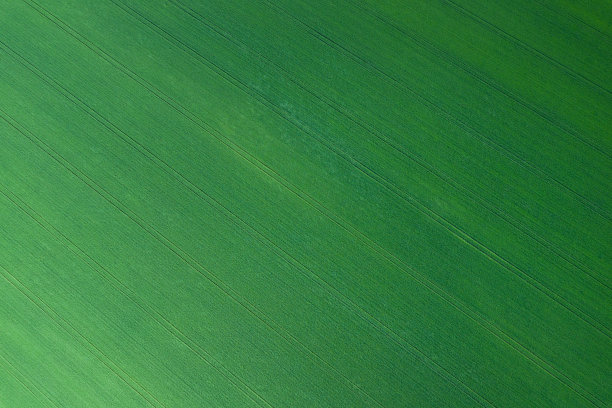 麦田鸟瞰图素材图片