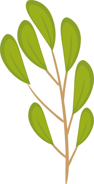 孤立绿叶设计图片下载