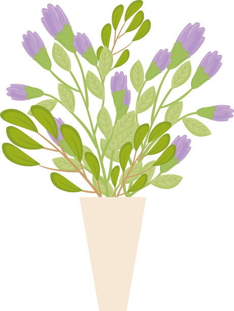 紫色的花，带叶子的花瓶图片下载