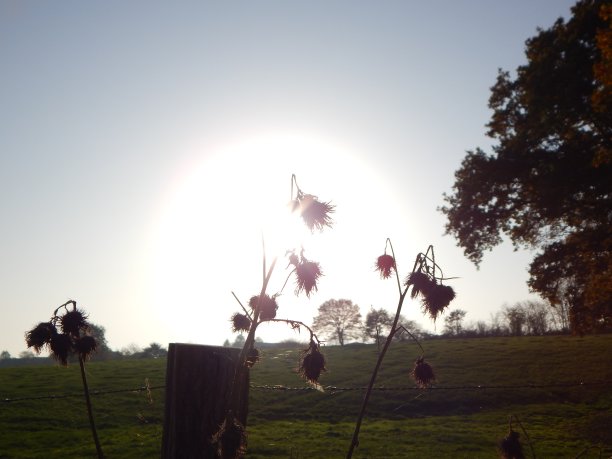 秋天的石勒苏益格-荷尔斯泰因的照片图片下载