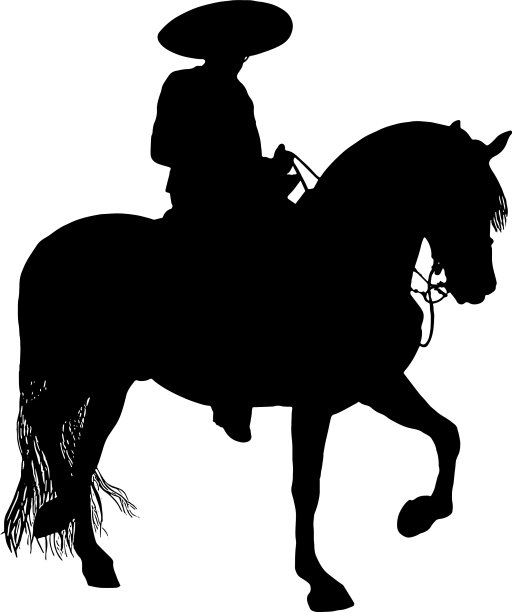 骑着黑马的墨西哥牛仔图片下载