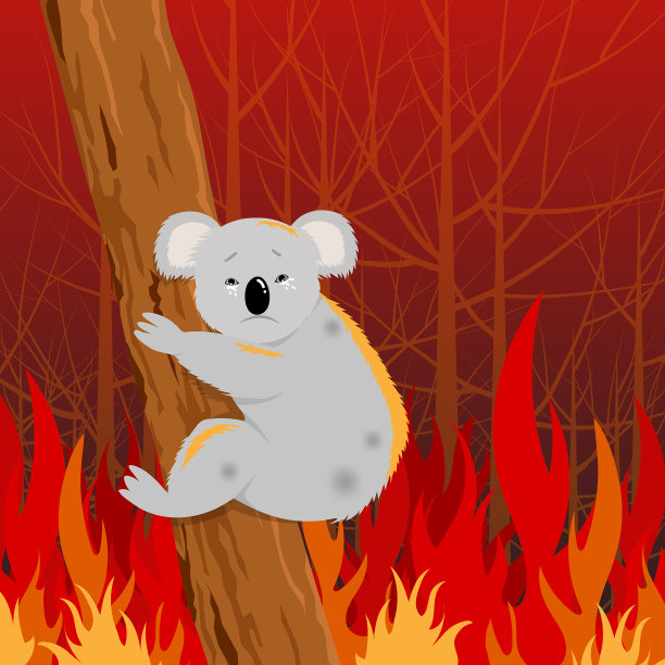 澳大利亚的森林火灾问题图片下载