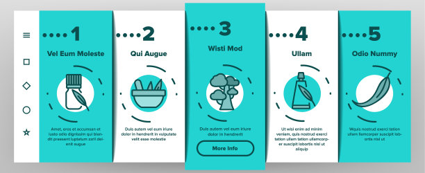 桉树草本叶子上的图标设置图片下载