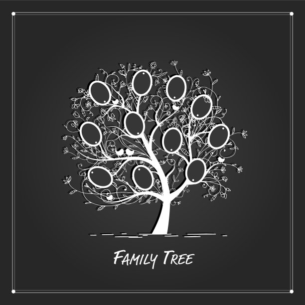 家庭树设计插入您的照片到相框图片下载
