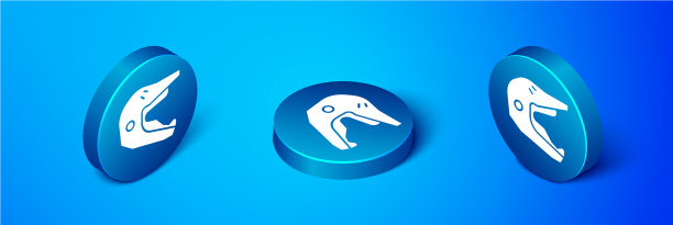 等距摩托车越野赛摩托车头盔图标图片下载