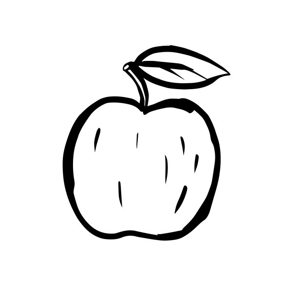 黑线苹果素描在白色的背景水果图片下载