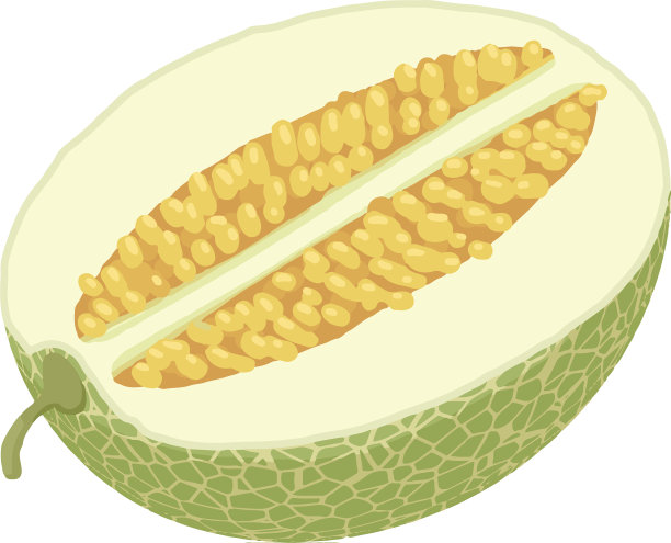 半瓜图标等距风格图片下载