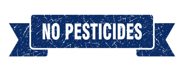 没有杀虫剂，垃圾，复古，复古乐队，没有图片下载