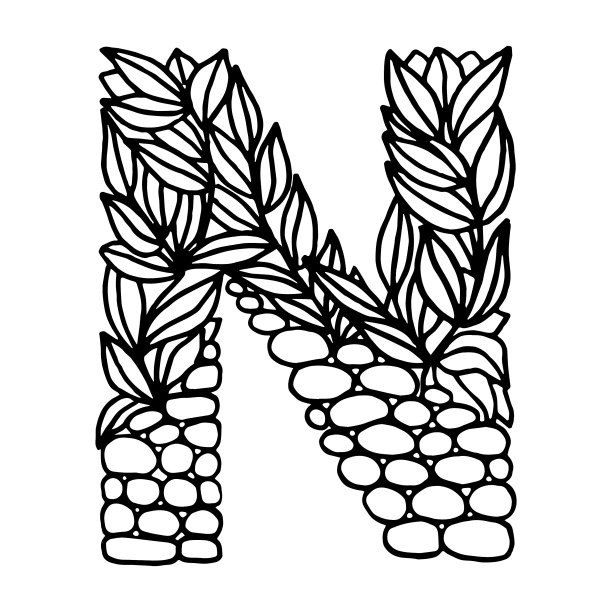 字母字母n图片下载