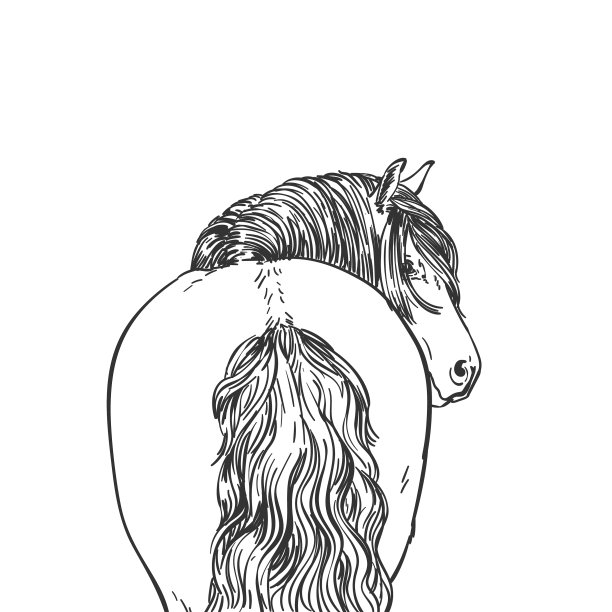 肖像马与长鬃毛向后看的观点图片下载