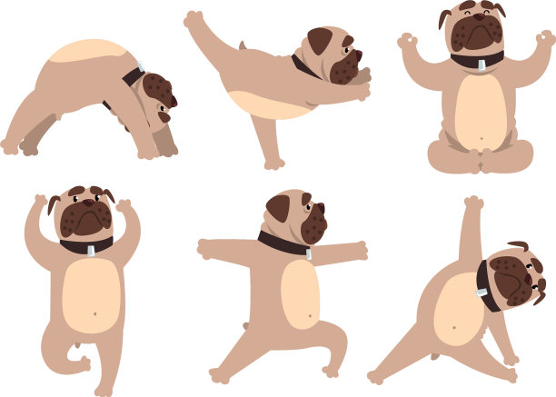 搞笑法国斗牛犬做瑜伽设置可爱的狗图片下载