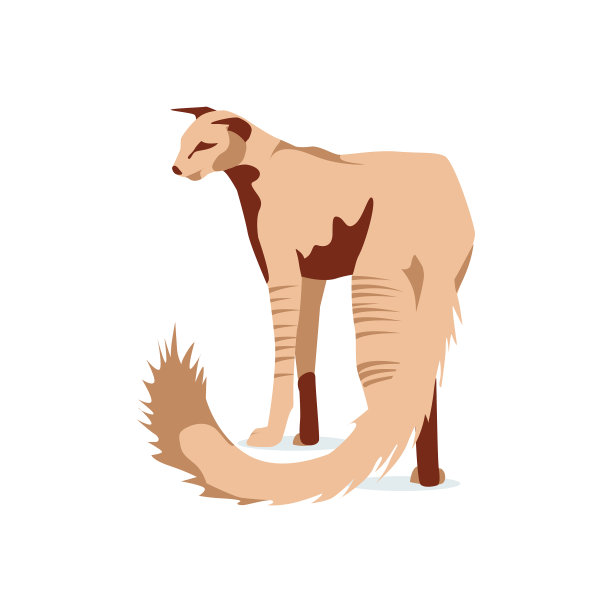 可爱的猫暹罗伯曼品种图片下载