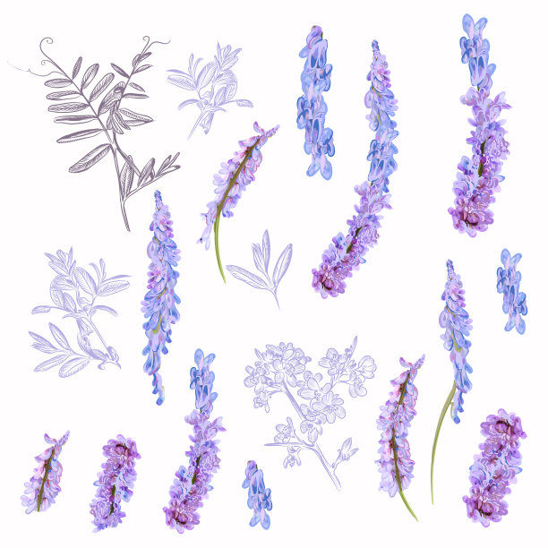 收集田野紫色花朵设计图片下载